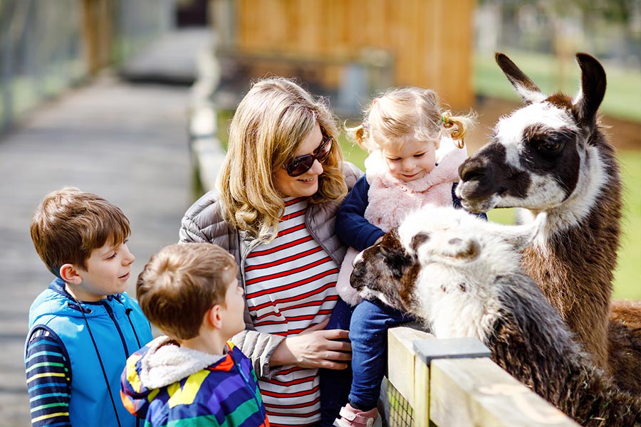 Ausflugstipps für Familien