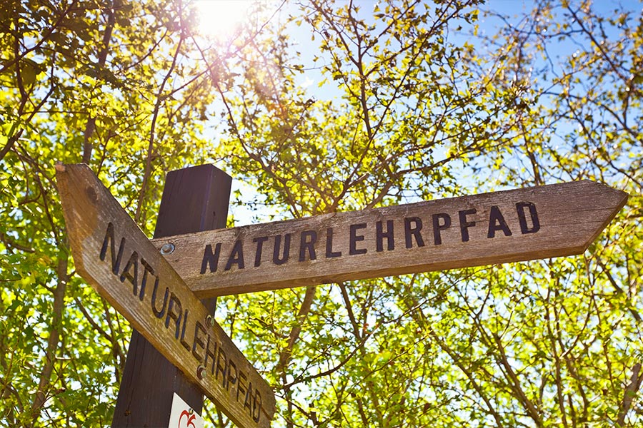 Naturerlebnisse für Familien